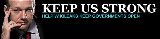 wikileaksbanner550w